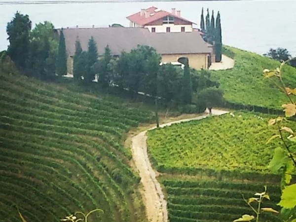 Typical coastal Basque towns and gastronomic experience