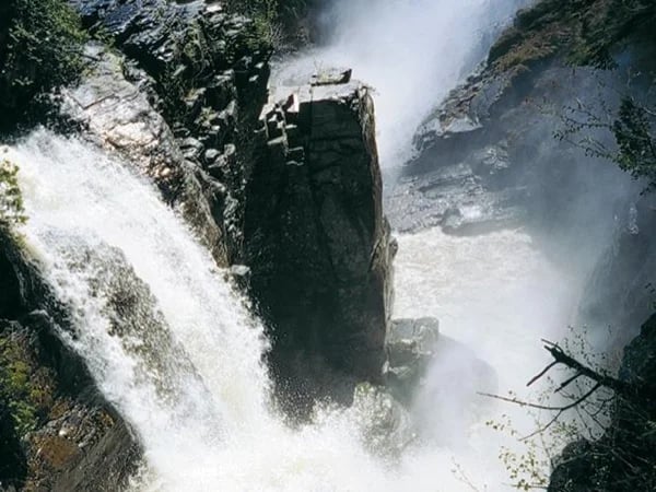 Cover media image