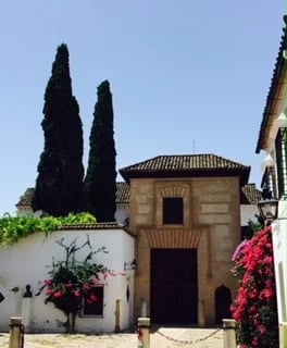 Carmen B.'s gallery