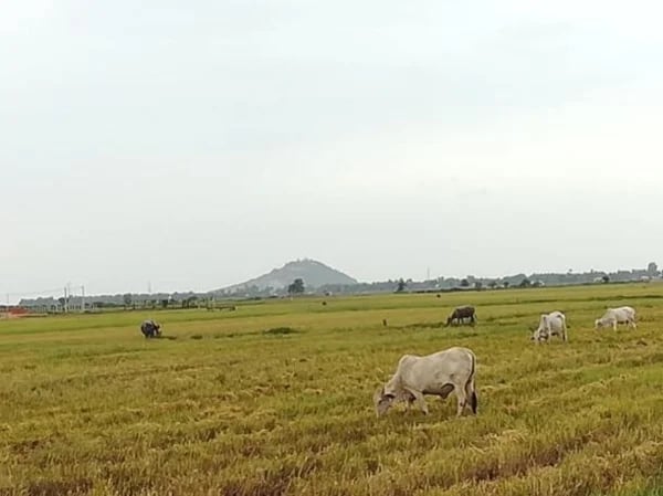 Siem Reap, Angkor Wat and the Countryside