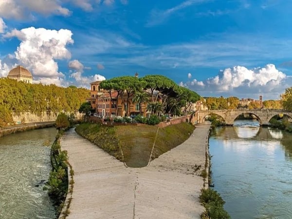 Cover media image