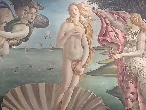 Cover media image