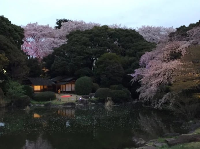 Chiaki K.'s gallery