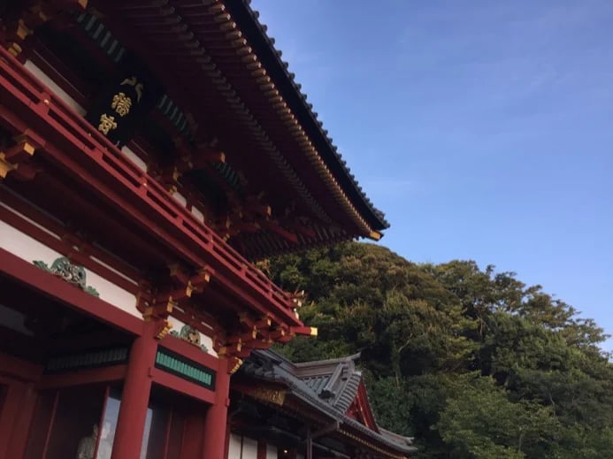 Chiaki K.'s gallery