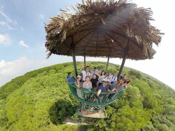 Vam Sat Mangrove Biosphere Reserve, Full Day Tour