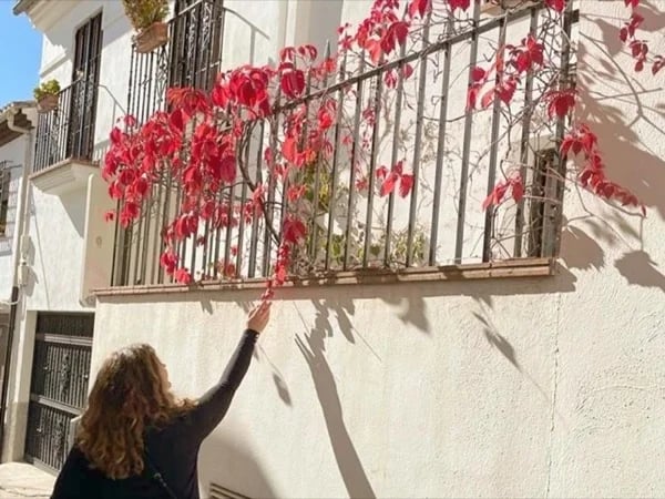 Muslim Granada: Palaces of Albayzin in Andalusian Monuments Tour