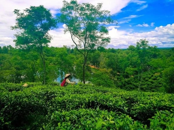 Highlights of Bangladesh: A Multi-Day Private Tour