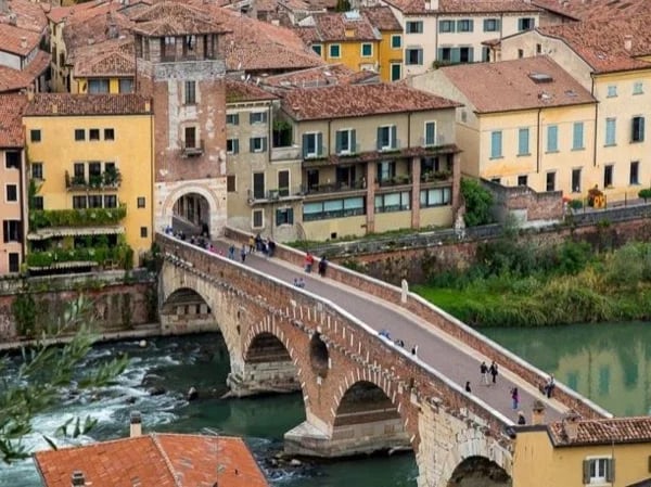Cover media image