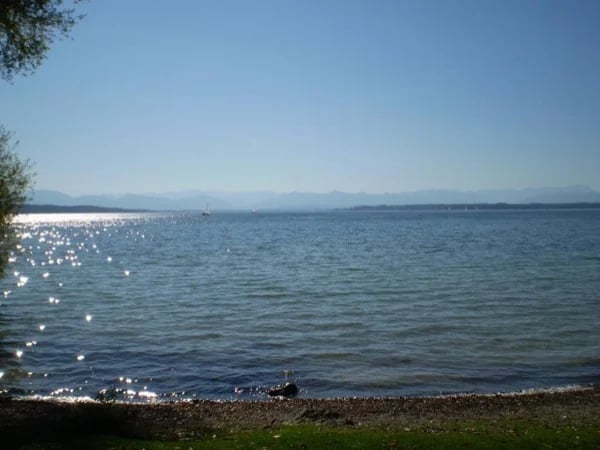 Cover media image