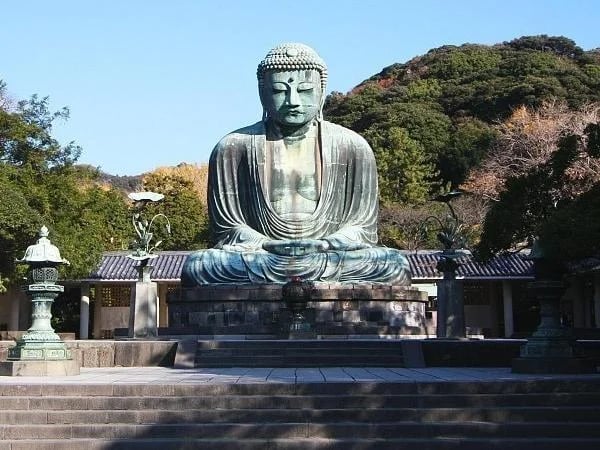 Cover media image