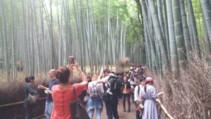 Bamboo groove