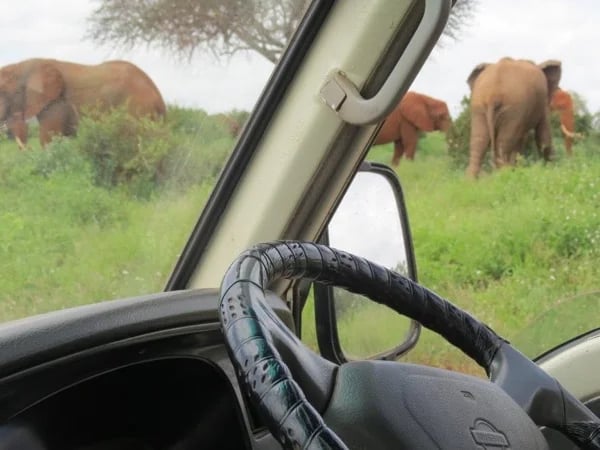 6 days/5 nights Nairobi-Tsavo East, Tsavo West, Chyulu Hills, Amboseli private tour