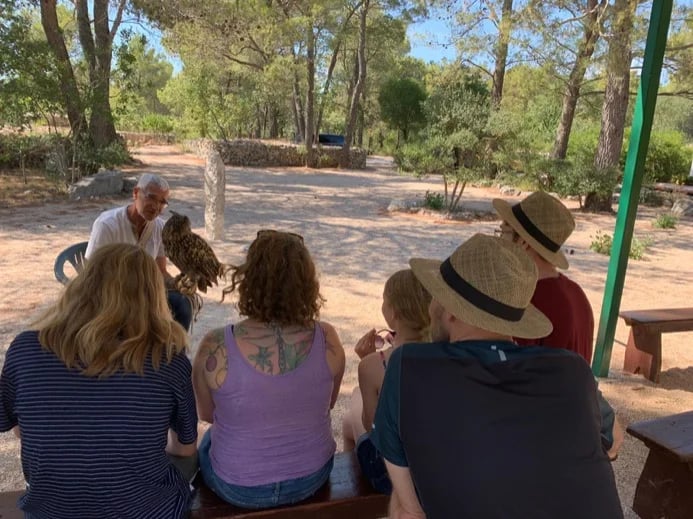 Falconry centre near Krka National Park- prefect for families