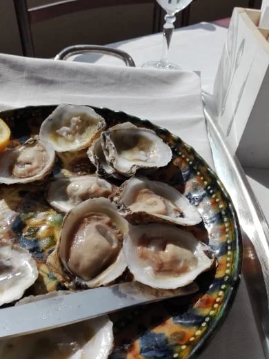 Oysters & Sauvignon Blanc in the terrace...