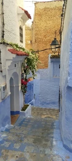 Hamid T.'s gallery