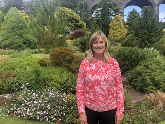 Sue's gallery