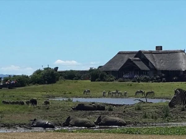 Tala, Phezulu Day Tour