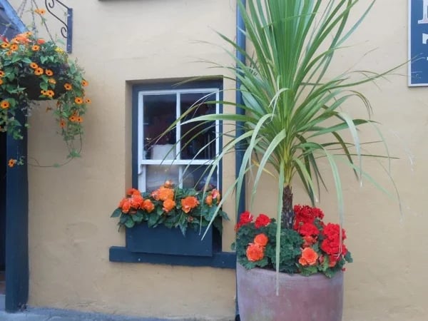 Full-day Private walking tour Limerick