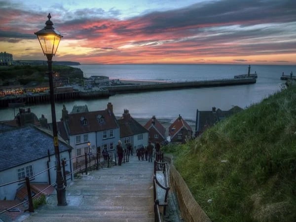 North York Moors and coast Full day Tour from York