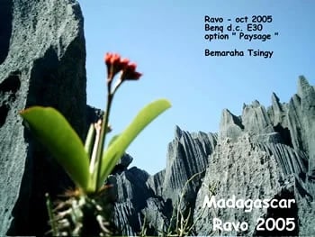 The famous Tsingy Bemaraha Park by Ravo_Tour 40429