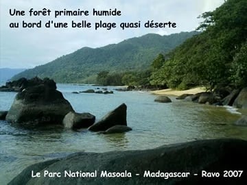 Masoala National Park by Ravo_Tour 68059