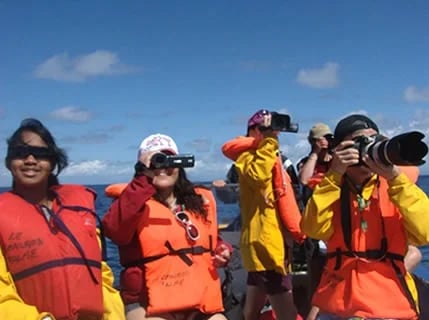 Whales watching_Customers from TourByLocals by Ravo