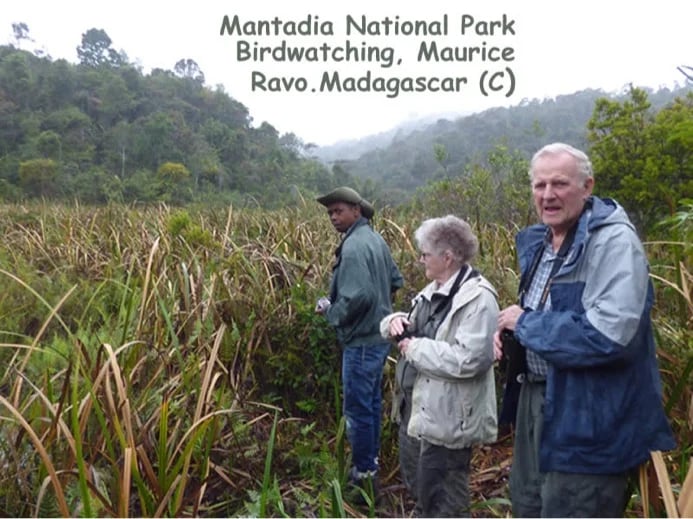 Madagascar, Ravo 2019, Birdwatching at Mantadia NP