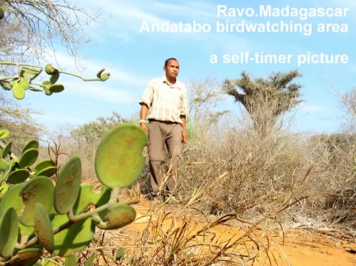 Madagascar, Ravo 2019, Birdwatching at Andatabo Toliara dry scrub