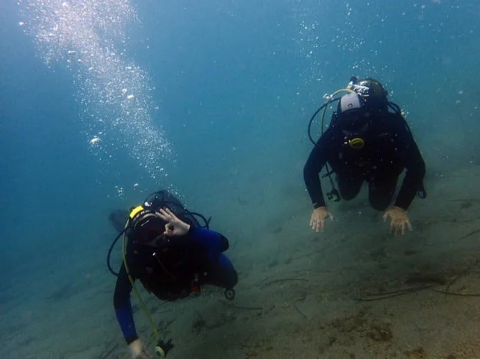 Scuba diving.