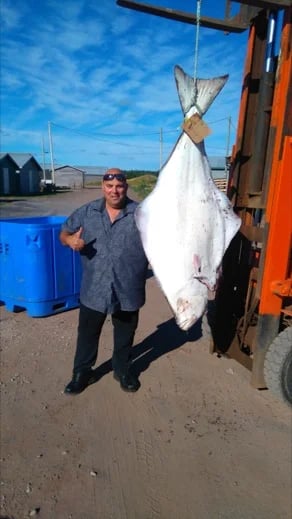 Catch of the day, Halibut Cyril purchased in Naufrage, PEI