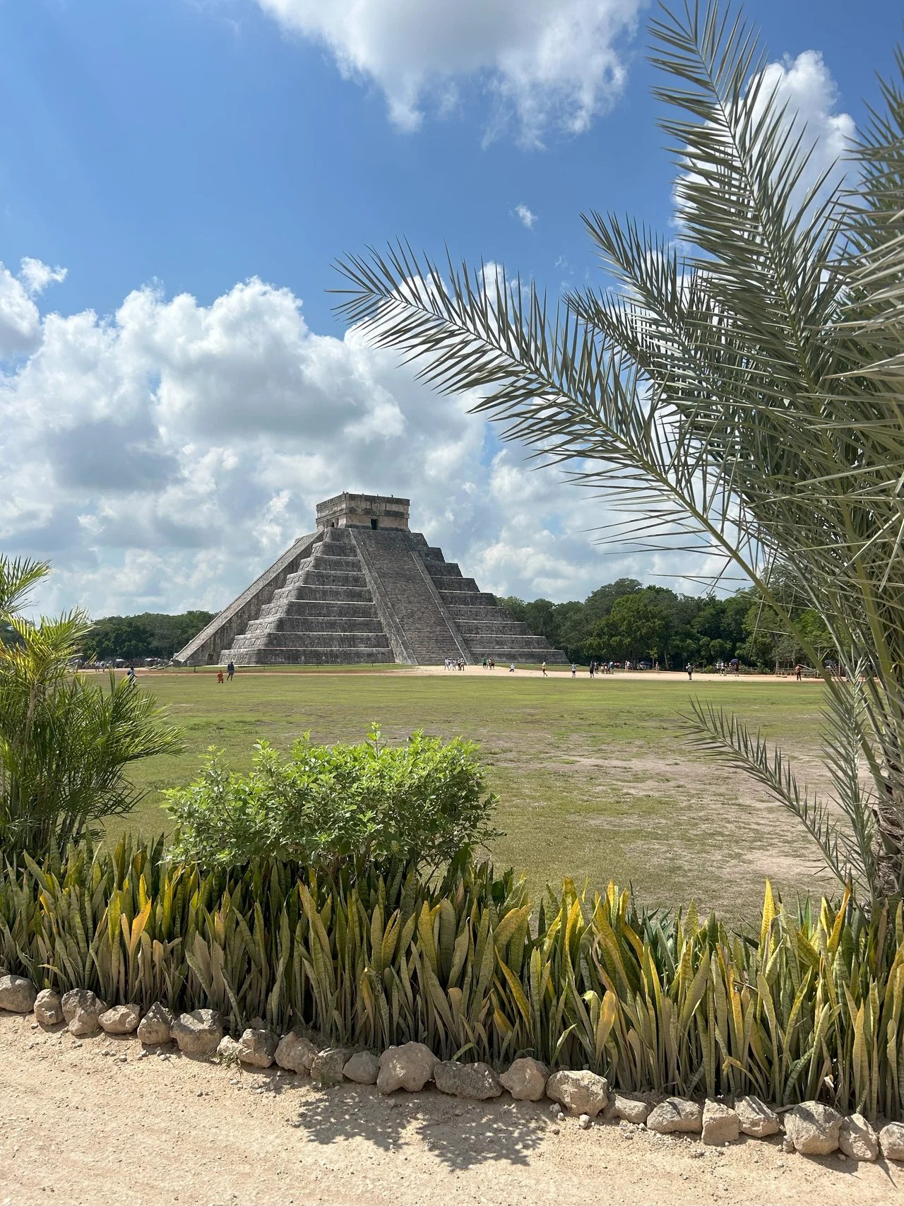 Cover media image
