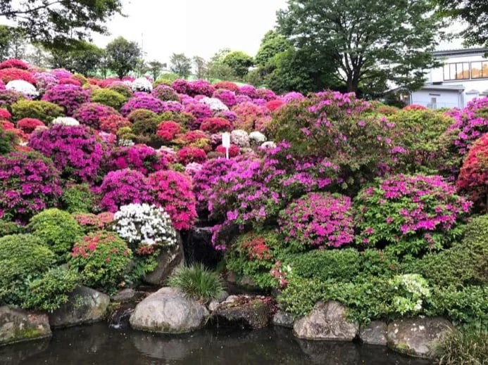 Makiko N.'s gallery