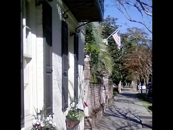 Historic Charleston Two Hour Express Walking Tour
