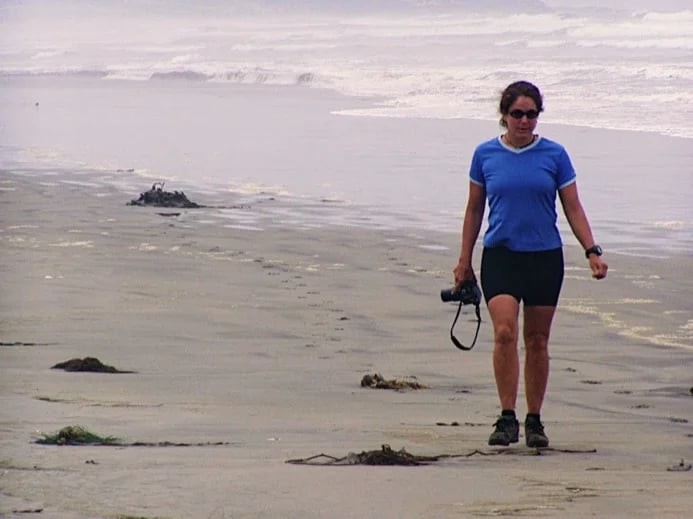 Working in Baja California