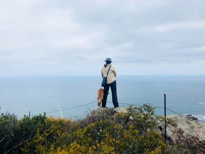 Waiting for gray whales at Punta Banda