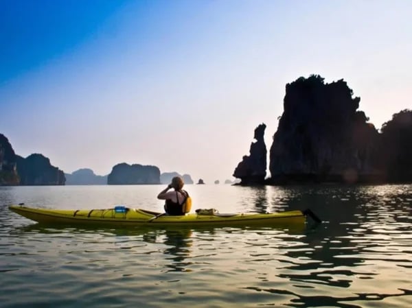 Cover media image