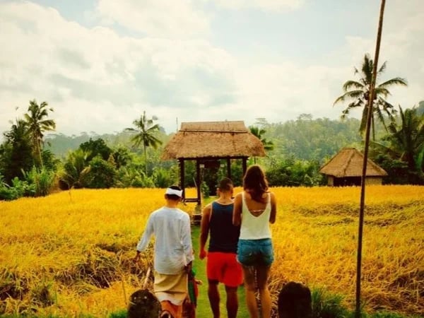Experience Ubud's Culture & Scenic Landscapes Full Day Tour