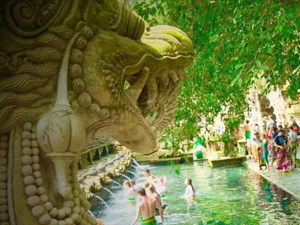 Fortune Teller & Spiritual Cleansing at Bali's Holy Spring Temple