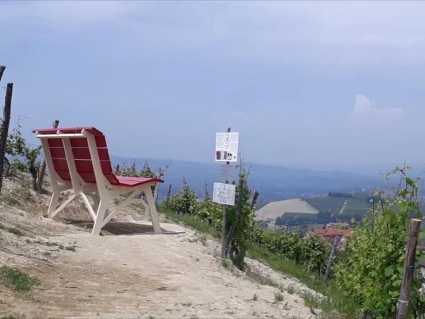 BBB Tour - Barolo Benches & Bunches!