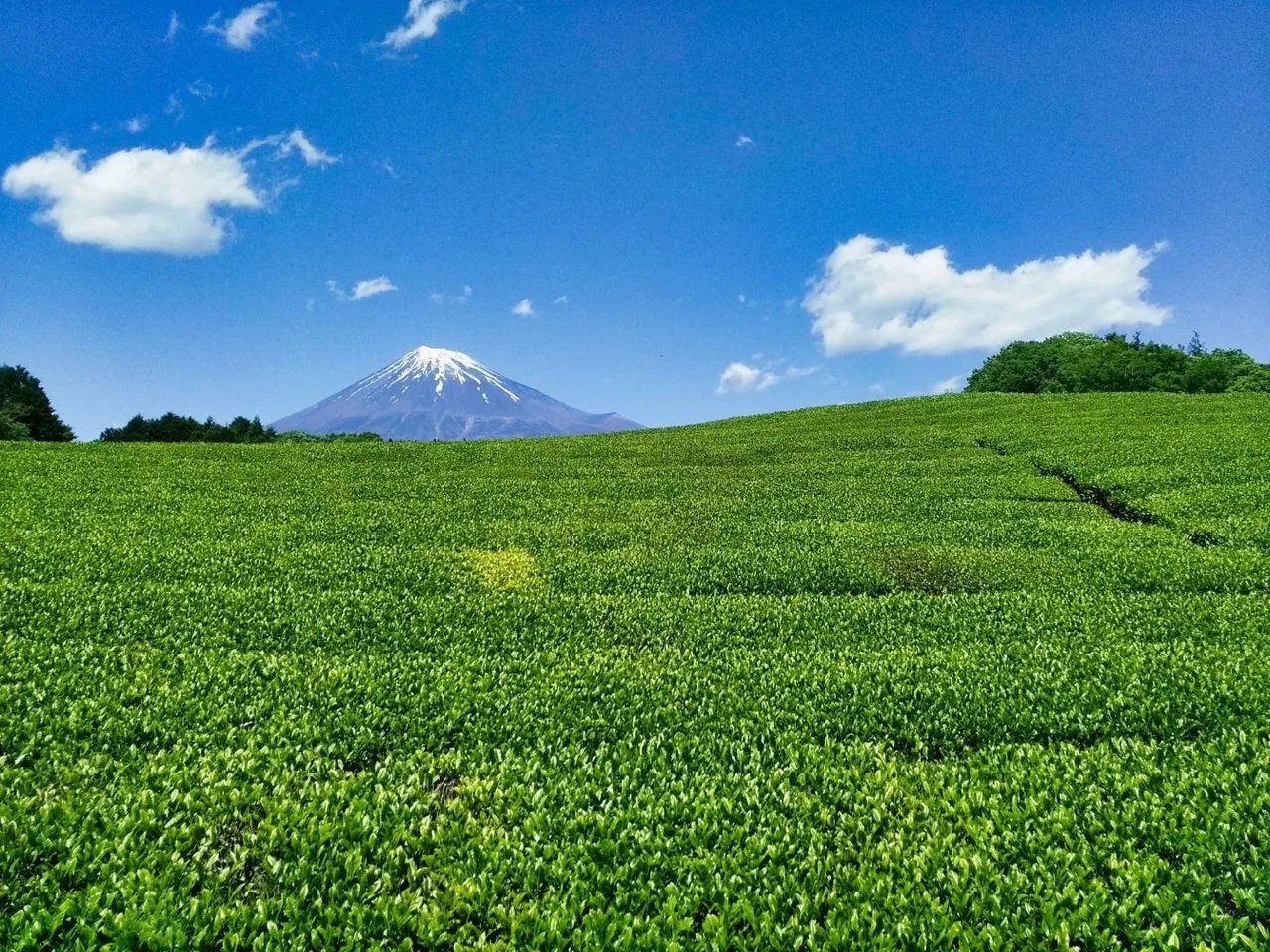Cover media image