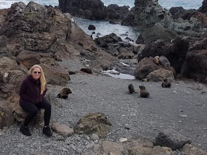 Seal pups on the way to the Cape Palliser lighthouse