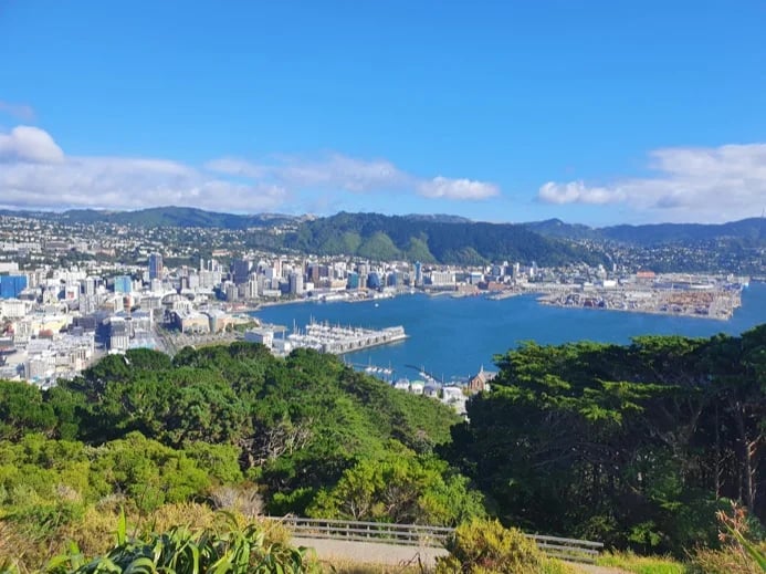 The view of Wellington and the harbour from Mt Victoria