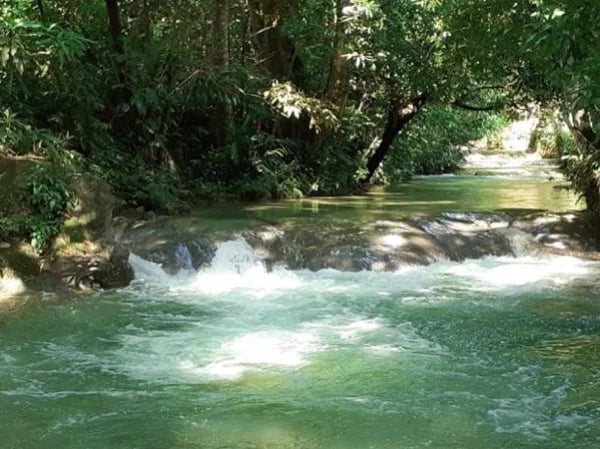 Cover media image