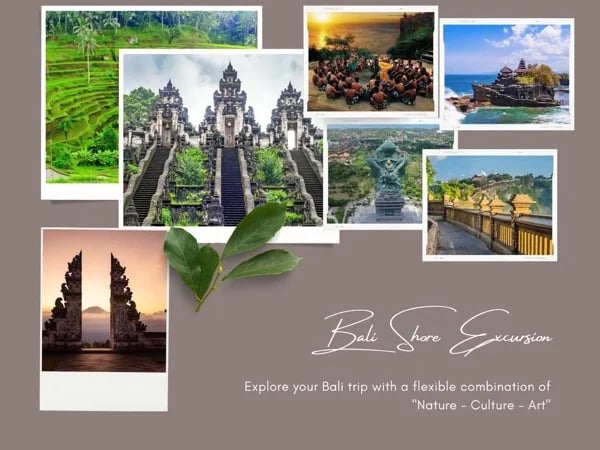 Bali Shore Excursion - Private Tour