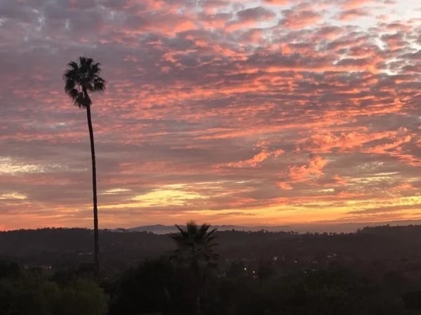 Private Santa Barbara Highlights Tour