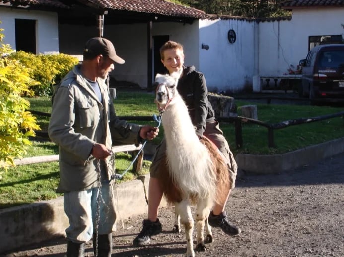 llama back riding at hacienda