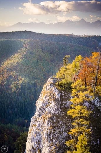 Andrej P.'s gallery