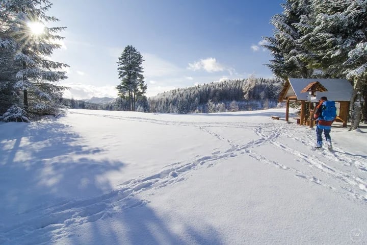 Andrej P.'s gallery
