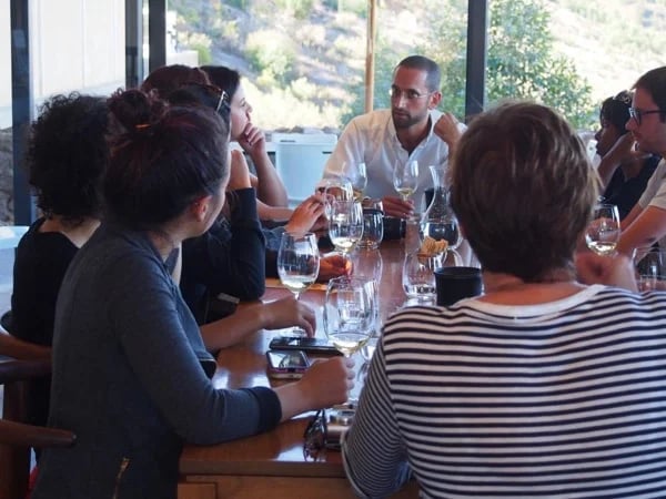 Wine Tour with a winemaker - Half-Day Tour