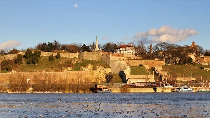 Cover media image
